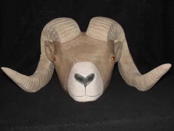 Bighorn Sheep.01